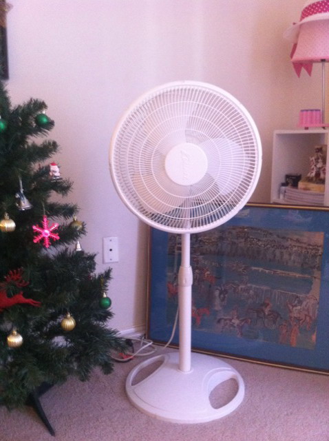 electric fan.JPG