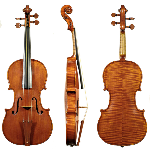 violin profile.jpg