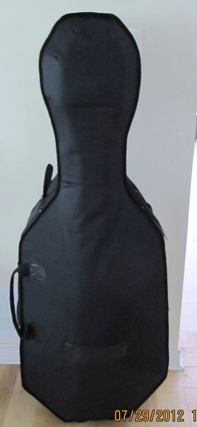 cello case x1.JPG