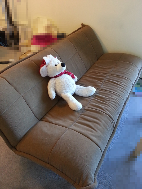 sofa_50D.jpg