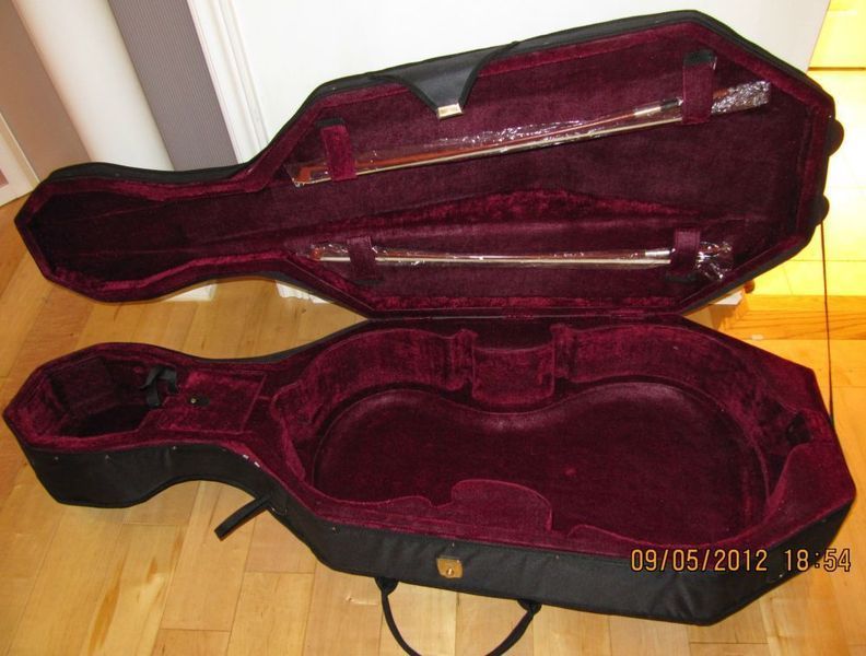 cello case interior.jpg